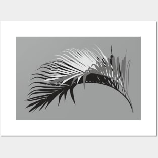 Palm leaf with shadow. Black and white illustration Posters and Art